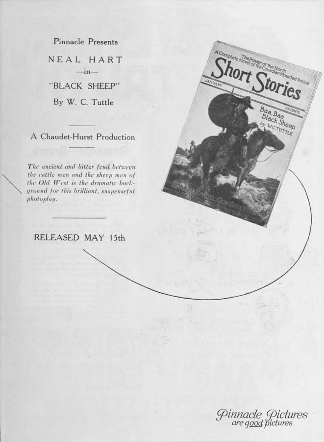 Black Sheep