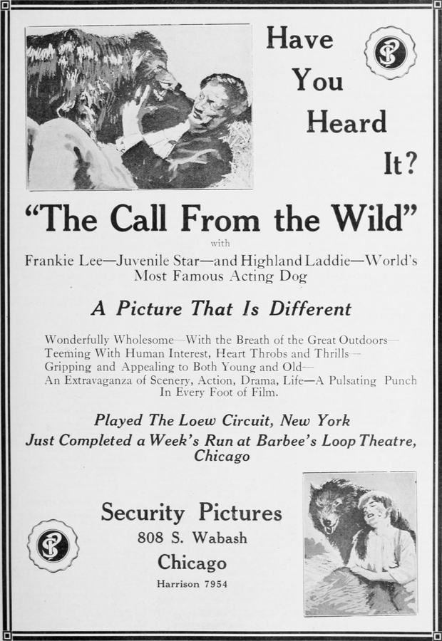 Call from the Wild