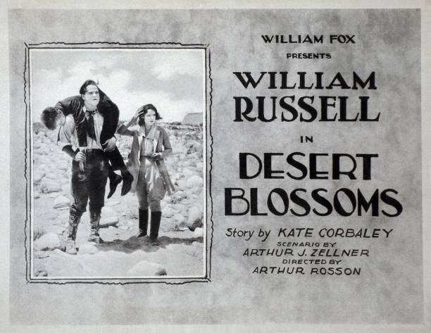 Desert Blossoms