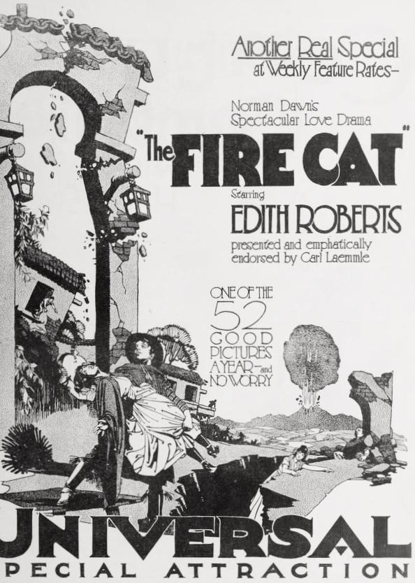 The Fire Cat