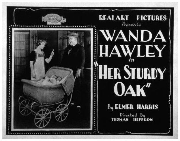 Her Sturdy Oak