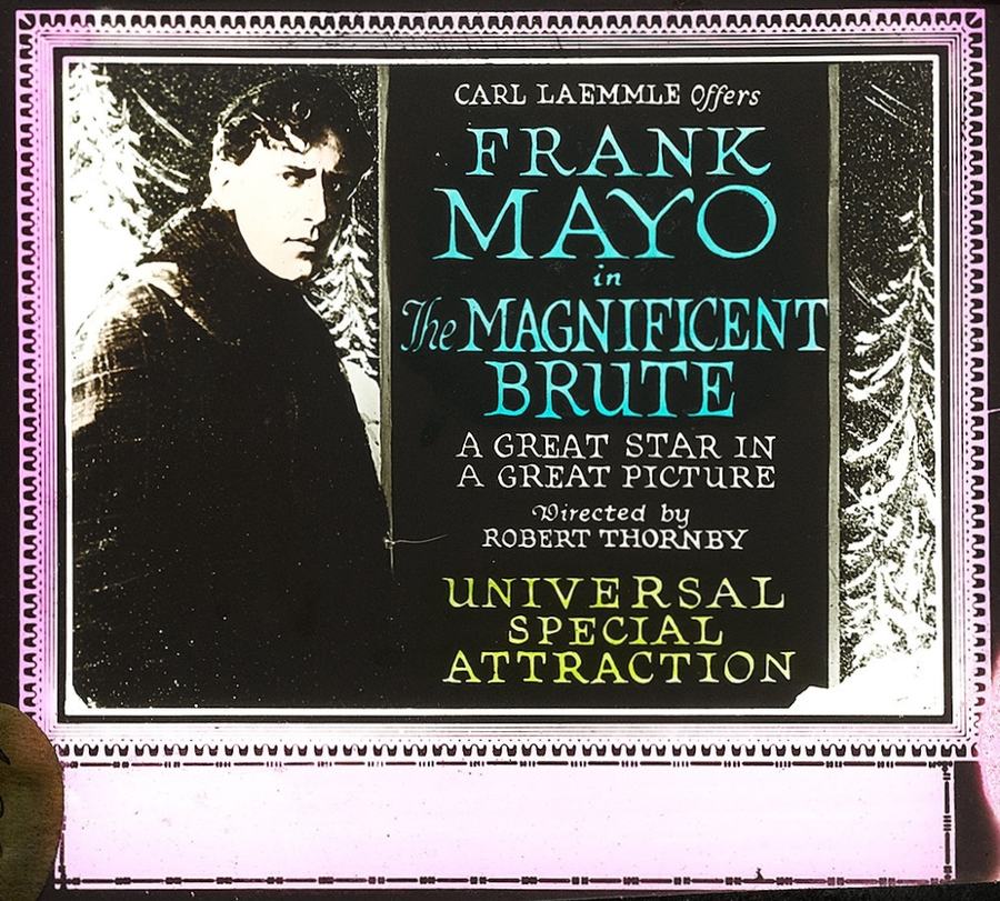 The Magnificent Brute