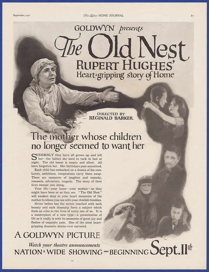 The Old Nest