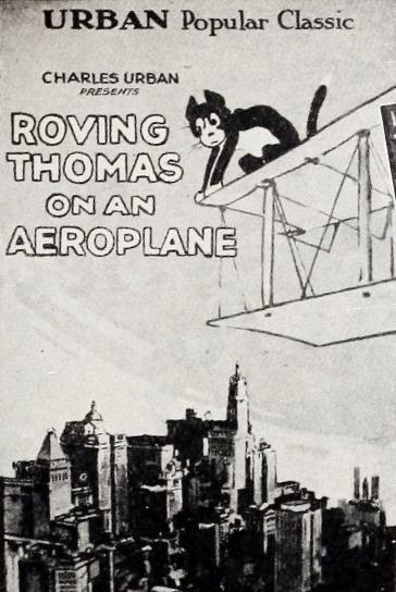 Roving Thomas on an Aeroplane