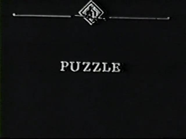 The Puzzle