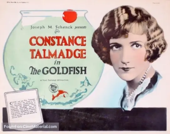 The Goldfish
