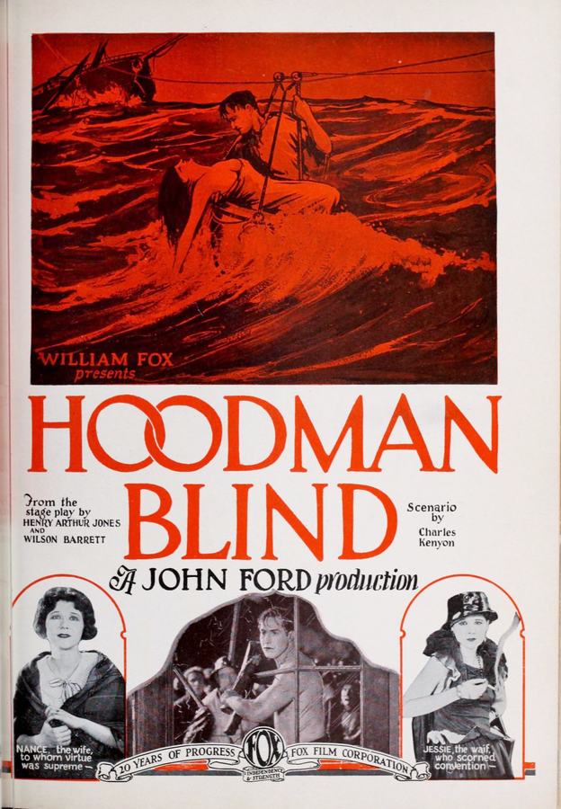 Hoodman Blind