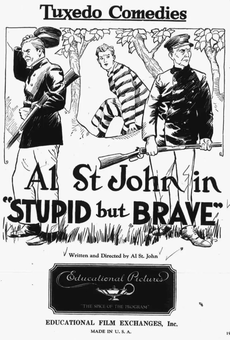 Stupid, But Brave