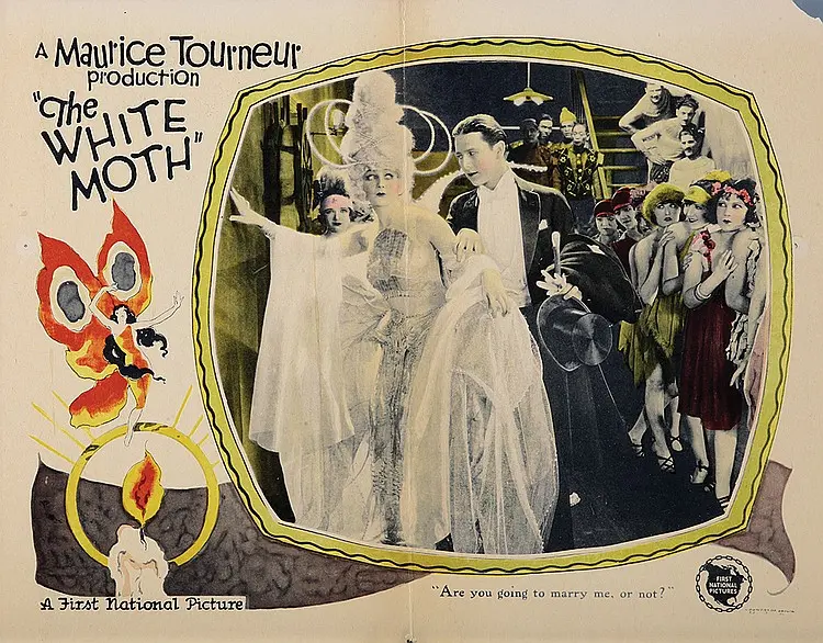 The White Moth