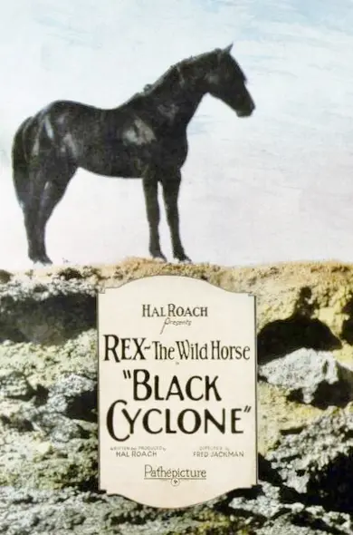 Black Cyclone