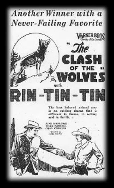Clash of the Wolves