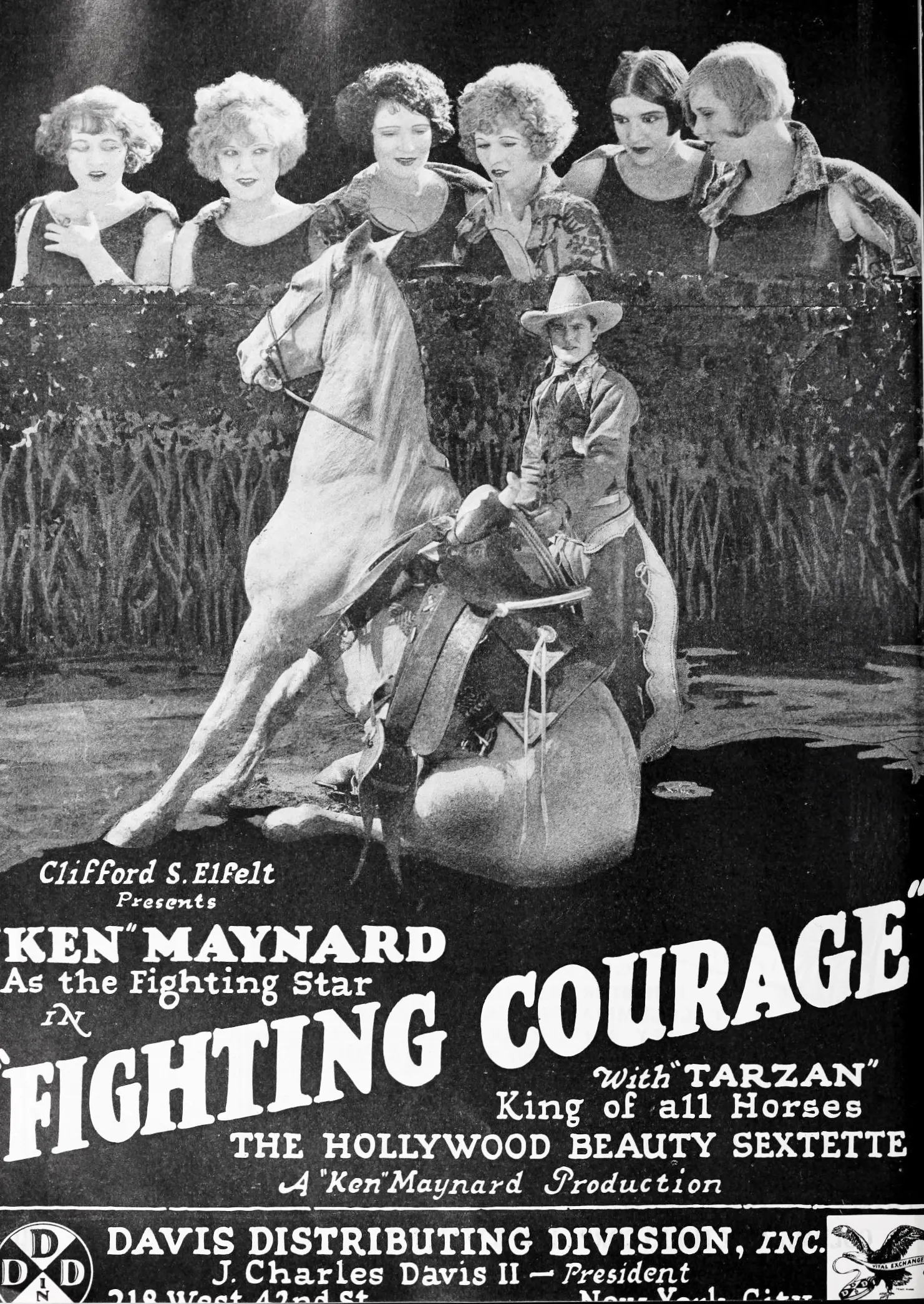 Fighting Courage