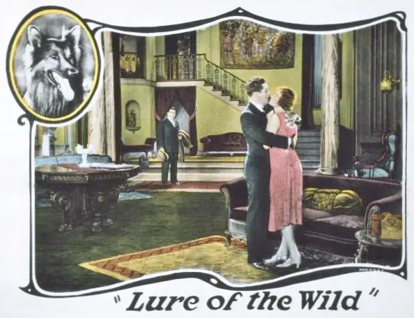 The Lure of the Wild