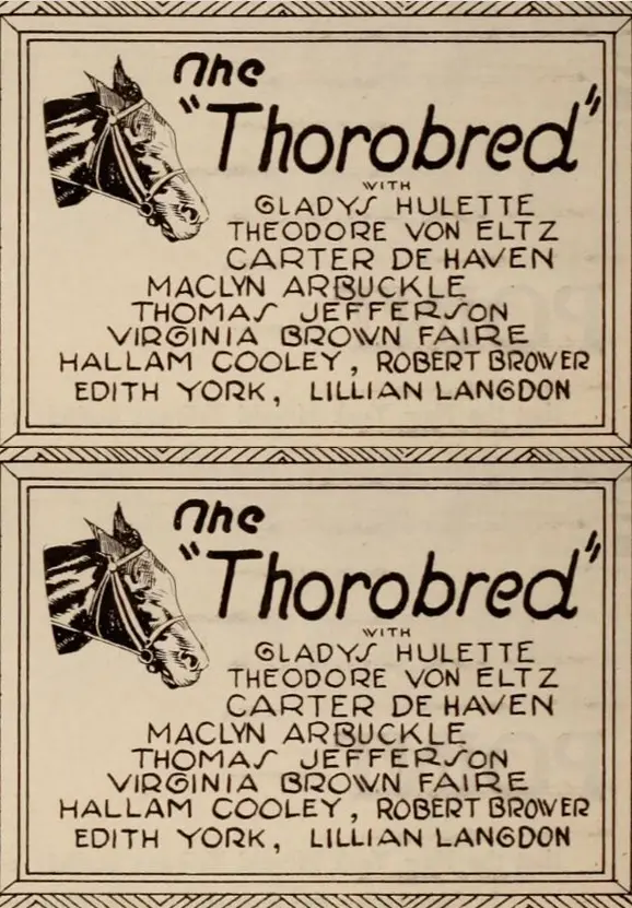 The Thoroughbred