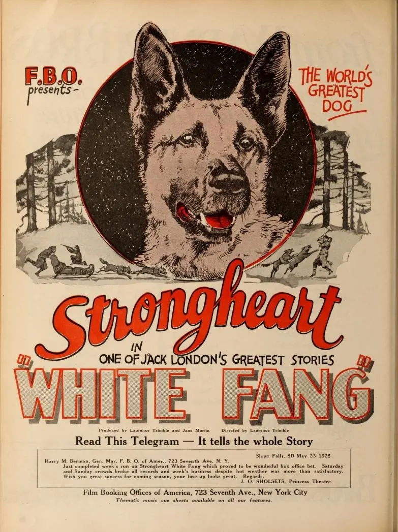 White Fang