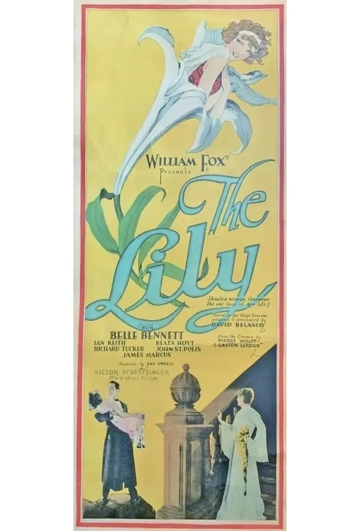 The Lily
