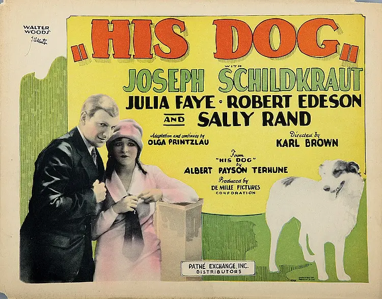 His Dog