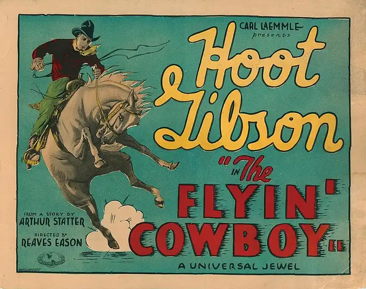 The Flyin' Cowboy