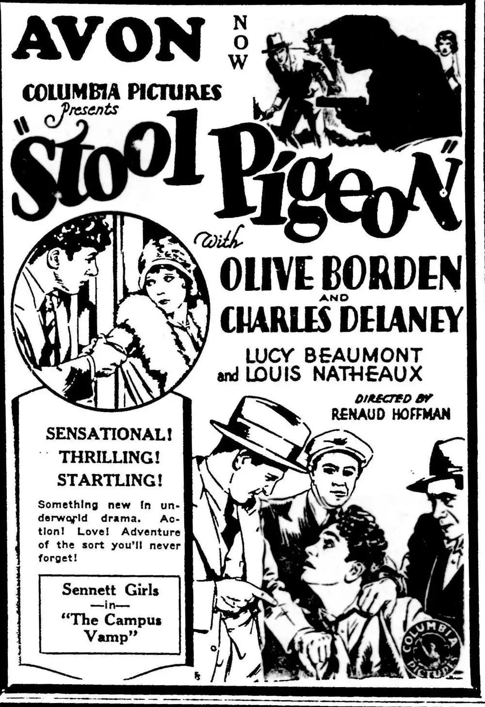 Stool Pigeon