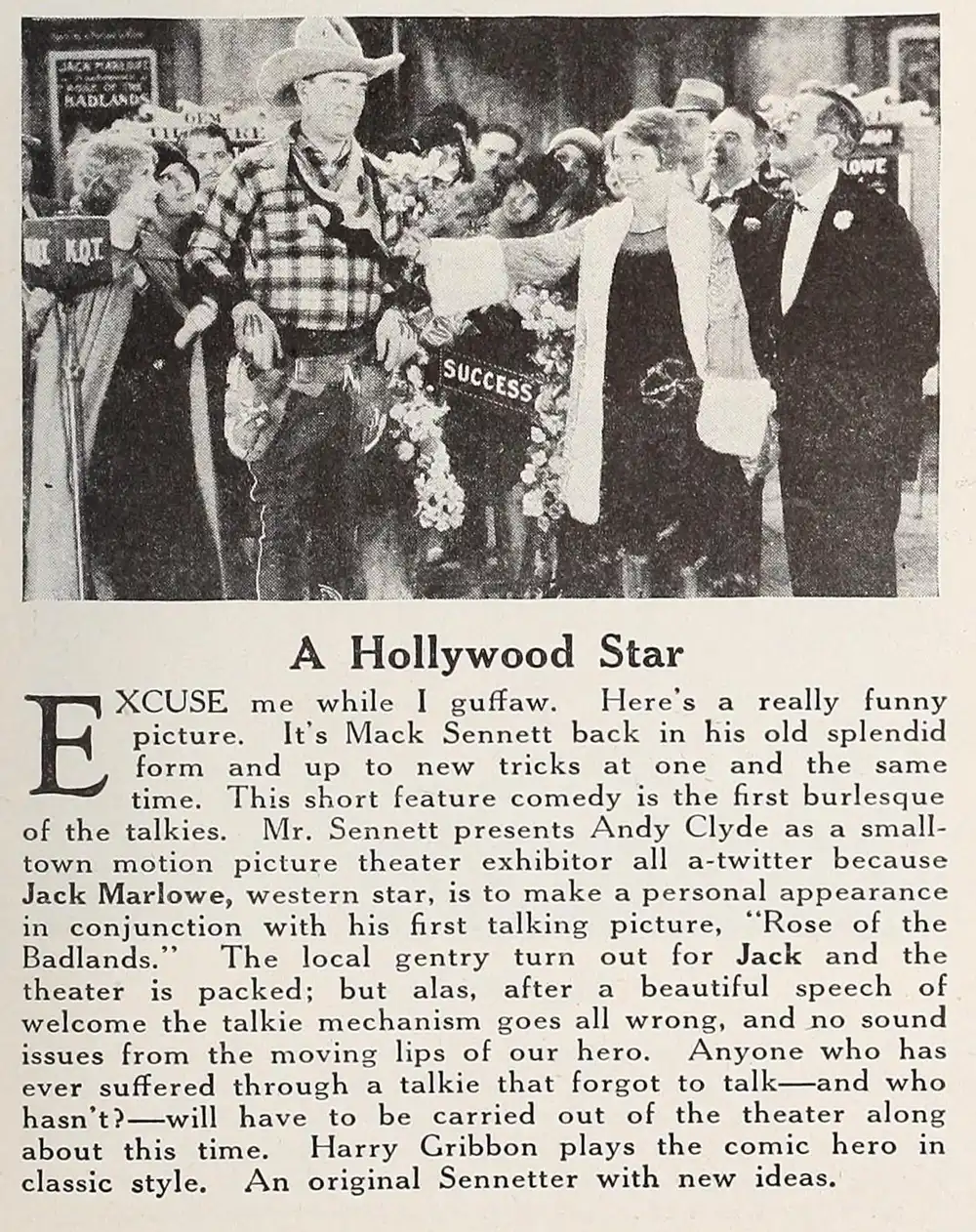 A Hollywood Star