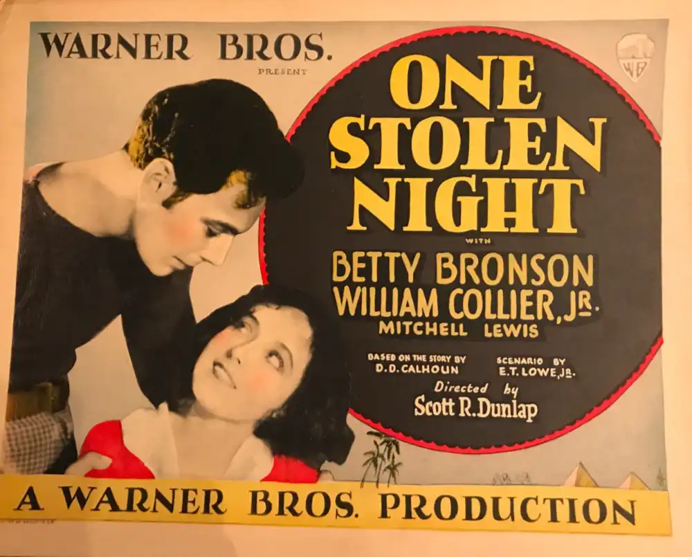 One Stolen Night