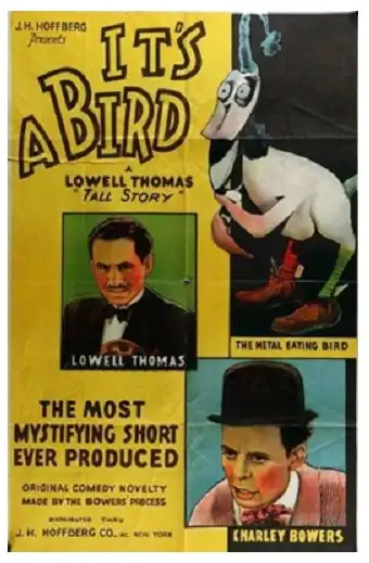 It's a Bird