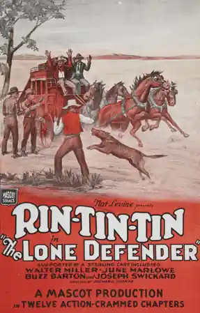 The Lone Defender