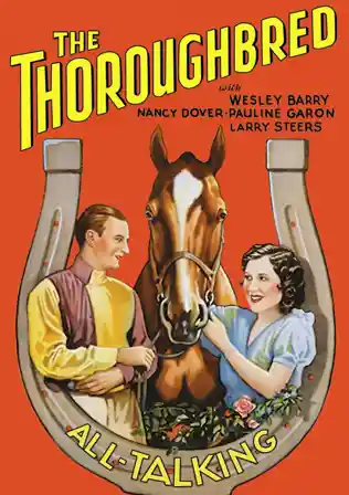 The Thoroughbred