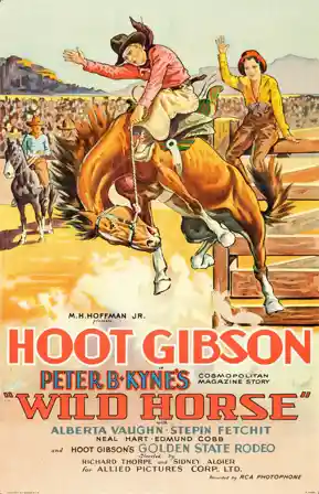 Wild Horse