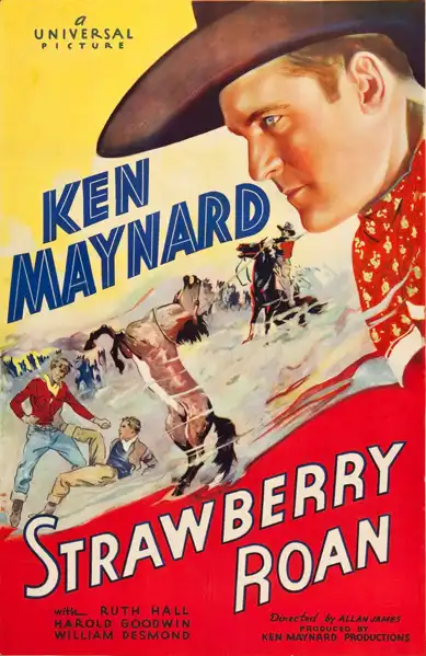 Strawberry Roan
