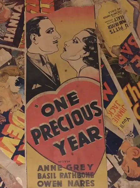 One Precious Year