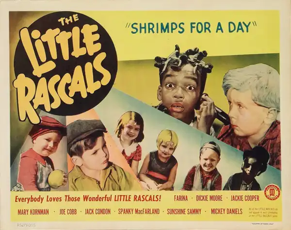 Shrimps for a Day