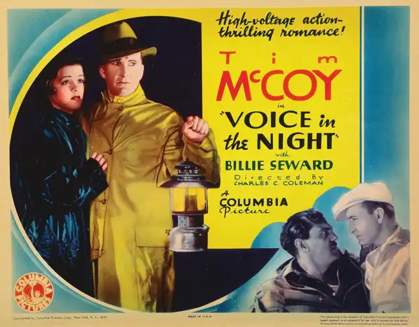 Voice in the Night