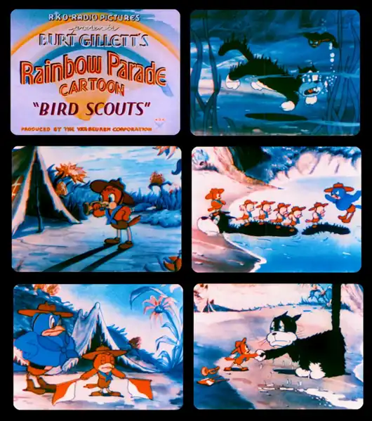Bird Scouts