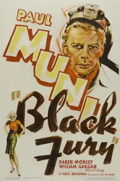 Black Fury