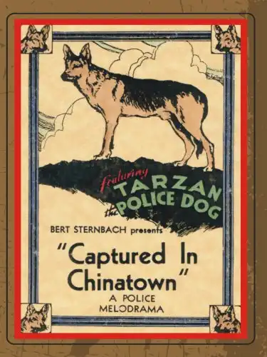 Captured in Chinatown