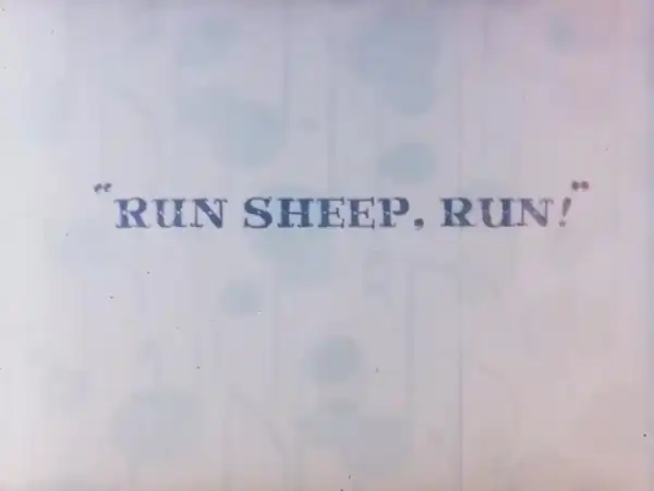 Run Sheep, Run!