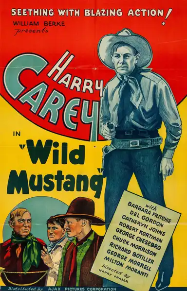 Wild Mustang