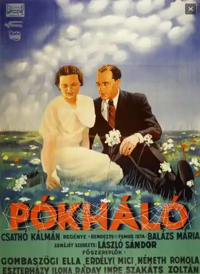 Pókháló