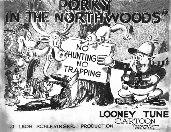 Porky in the North Woods