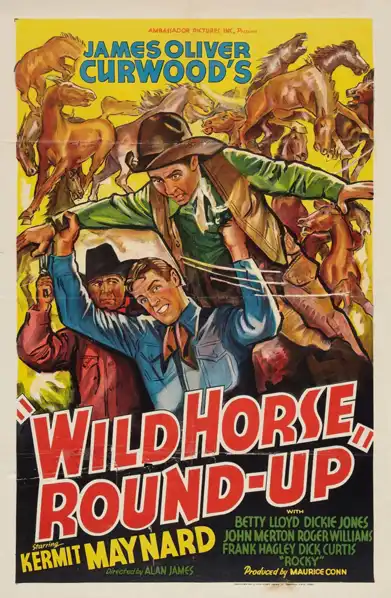 Wild Horse Round-Up
