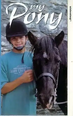 My Pony Boy