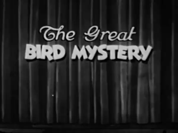 The Great Bird Mystery