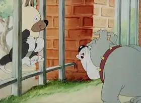 Putting on the Dog
