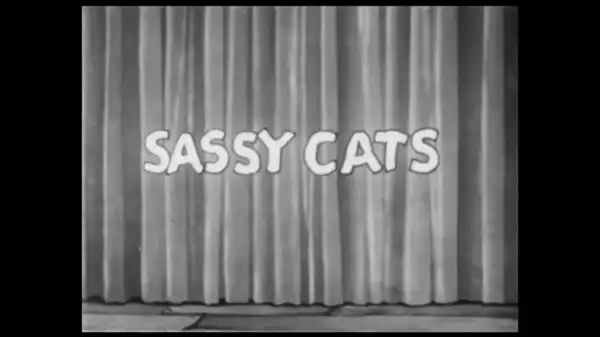 Sassy Cats