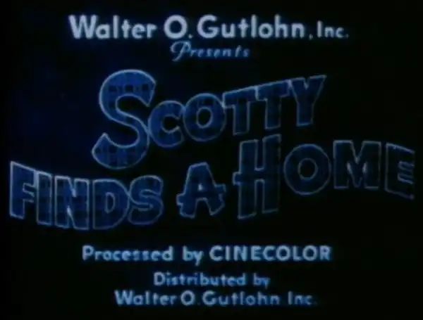 Scotty Finds a Home