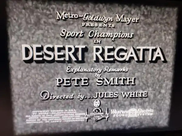 Desert Regatta