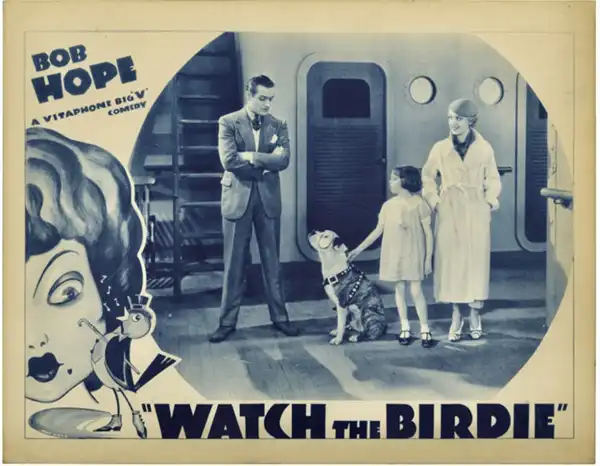 Watch the Birdie
