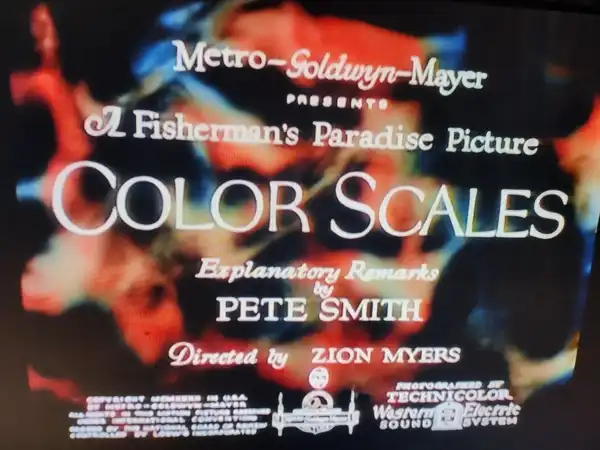 Color Scales
