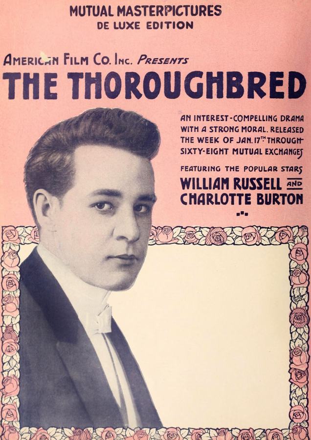 The Thoroughbred